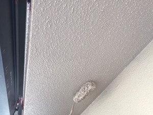 2017810112734.JPG
