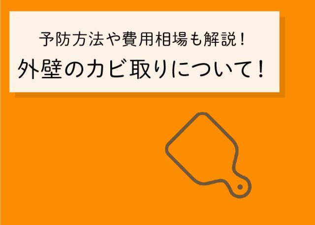 外壁のカビ取りについてご紹介！予防方法や費用相場も併せて解説します！