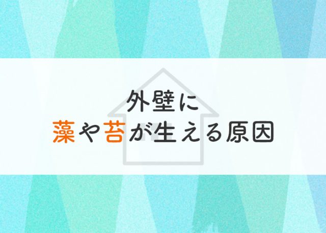 外壁に藻や苔が生える原因とは？対策方法や予防方法も併せてご紹介！